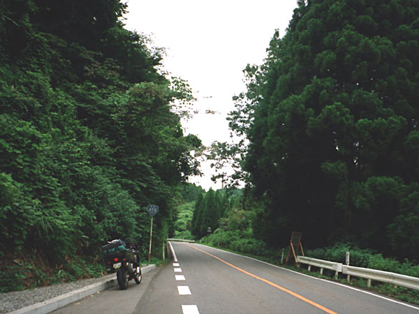 国道415号線