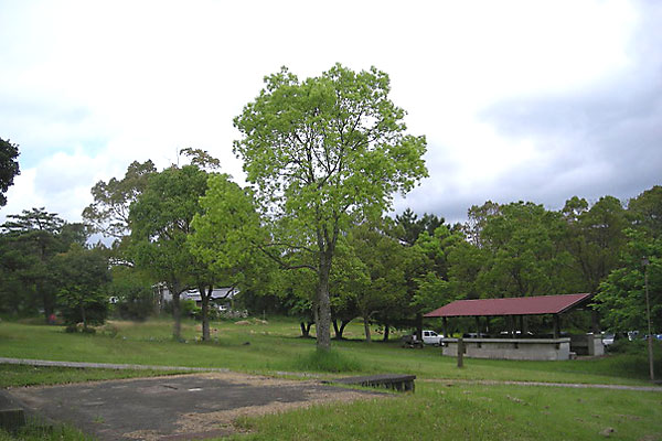 >諏訪の池キャンプ場