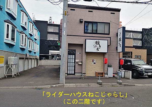 ねこじゃらし